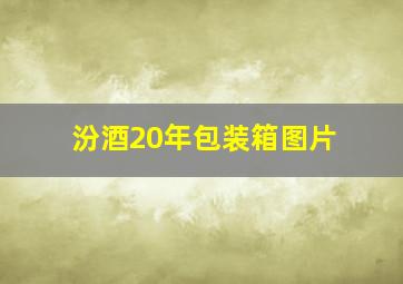 汾酒20年包装箱图片