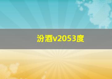 汾酒v2053度