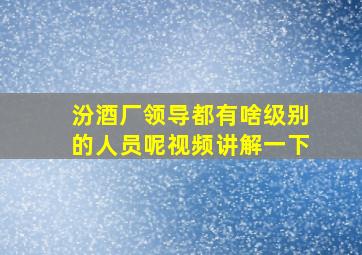 汾酒厂领导都有啥级别的人员呢视频讲解一下