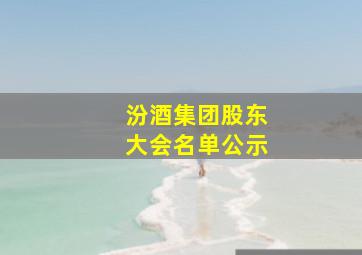 汾酒集团股东大会名单公示