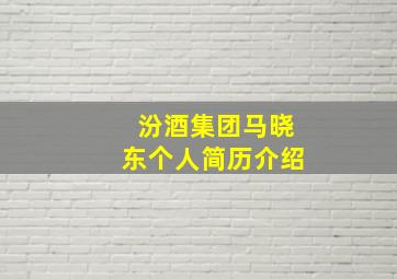 汾酒集团马晓东个人简历介绍