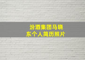 汾酒集团马晓东个人简历照片