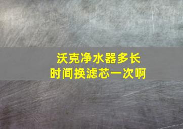 沃克净水器多长时间换滤芯一次啊