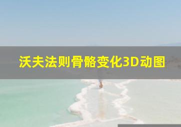 沃夫法则骨骼变化3D动图