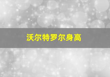 沃尔特罗尔身高