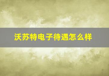 沃苏特电子待遇怎么样