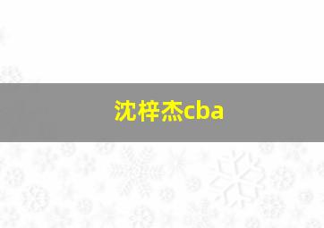 沈梓杰cba