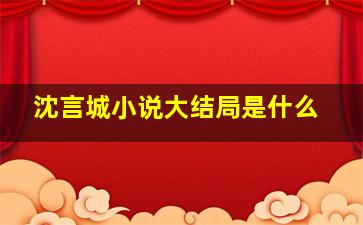 沈言城小说大结局是什么