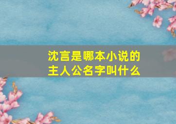 沈言是哪本小说的主人公名字叫什么