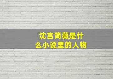 沈言简薇是什么小说里的人物