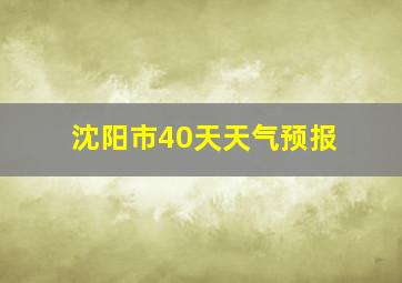 沈阳市40天天气预报