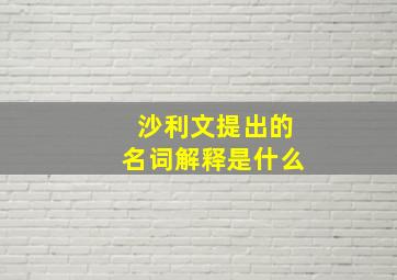 沙利文提出的名词解释是什么