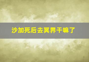 沙加死后去冥界干嘛了