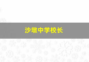 沙墩中学校长