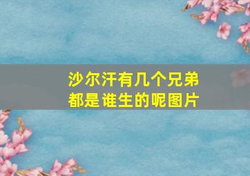 沙尔汗有几个兄弟都是谁生的呢图片