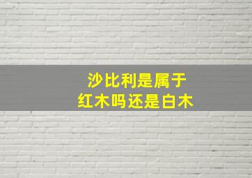 沙比利是属于红木吗还是白木