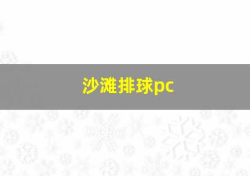 沙滩排球pc