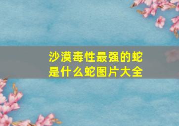 沙漠毒性最强的蛇是什么蛇图片大全