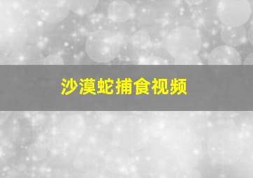 沙漠蛇捕食视频