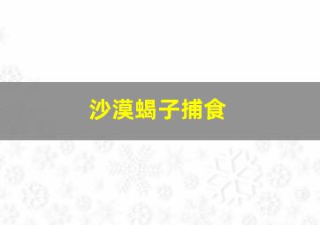 沙漠蝎子捕食