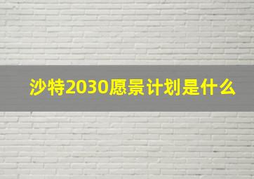 沙特2030愿景计划是什么