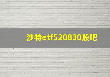 沙特etf520830股吧