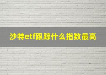 沙特etf跟踪什么指数最高