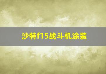 沙特f15战斗机涂装