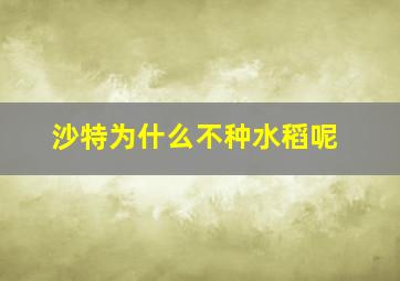 沙特为什么不种水稻呢