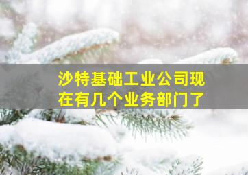 沙特基础工业公司现在有几个业务部门了