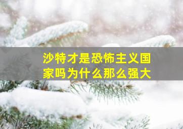 沙特才是恐怖主义国家吗为什么那么强大