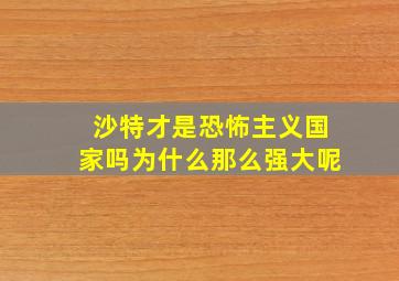 沙特才是恐怖主义国家吗为什么那么强大呢