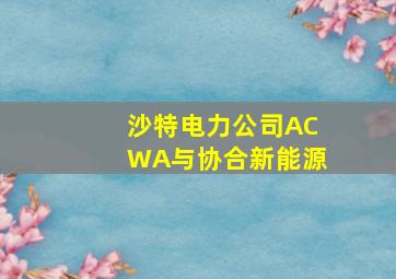 沙特电力公司ACWA与协合新能源