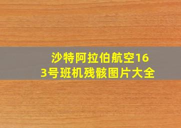 沙特阿拉伯航空163号班机残骸图片大全