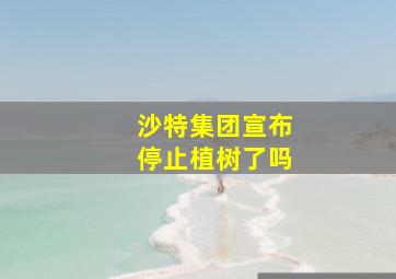 沙特集团宣布停止植树了吗