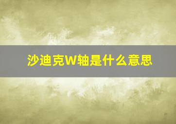 沙迪克W轴是什么意思