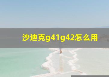 沙迪克g41g42怎么用