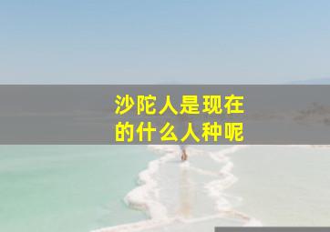 沙陀人是现在的什么人种呢