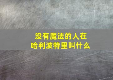 没有魔法的人在哈利波特里叫什么