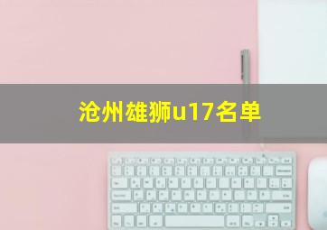 沧州雄狮u17名单