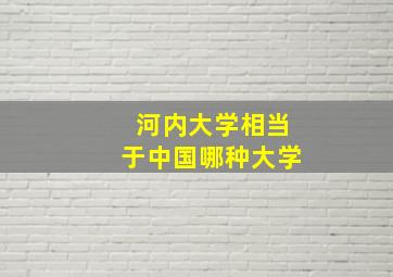 河内大学相当于中国哪种大学