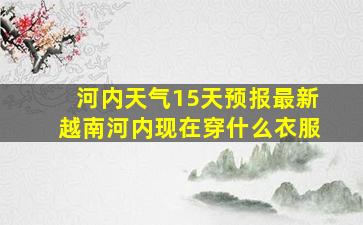 河内天气15天预报最新越南河内现在穿什么衣服