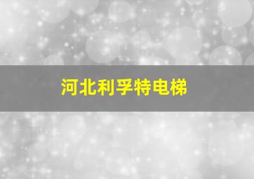 河北利孚特电梯