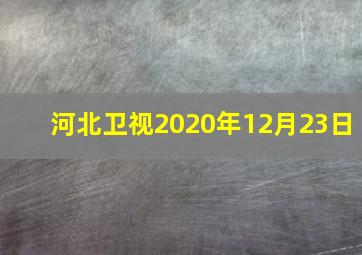 河北卫视2020年12月23日