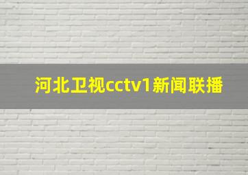 河北卫视cctv1新闻联播