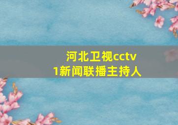 河北卫视cctv1新闻联播主持人