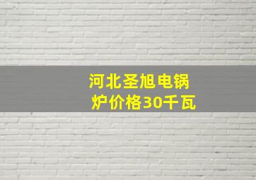 河北圣旭电锅炉价格30千瓦