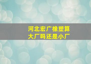 河北宏广橡塑算大厂吗还是小厂