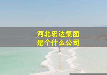 河北宏达集团是个什么公司