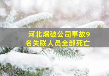 河北爆破公司事故9名失联人员全部死亡